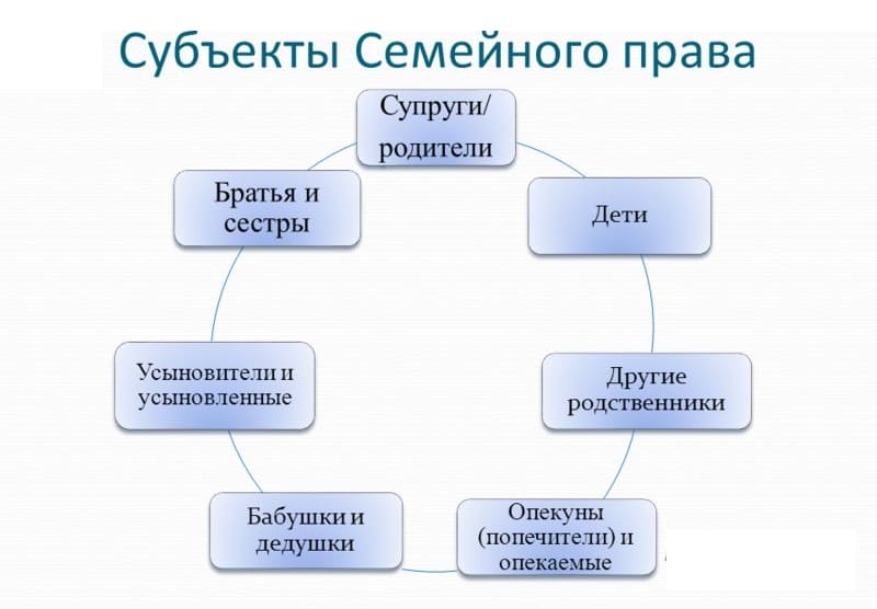 Вид семейных правоотношений субъекты. Субъекты семейных правоотношений.